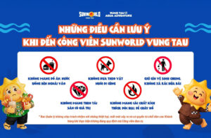 Bỏ túi ngay những điều cần biết khi vui chơi tại Sun World Vung Tau